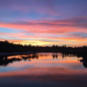 Sunset at Zion Hills