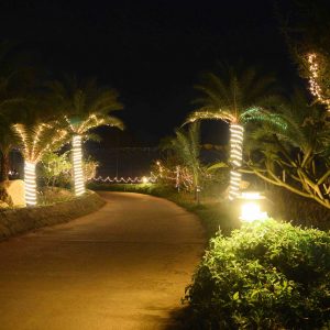 New Year 2019 at Zion Hills