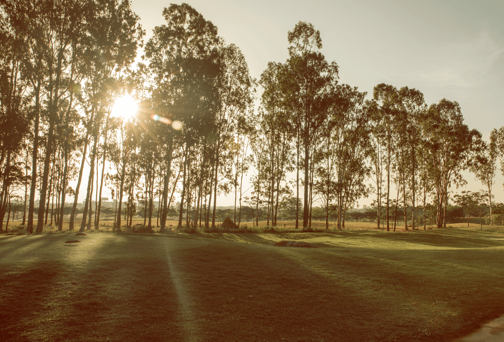Play your way at Zion Hills