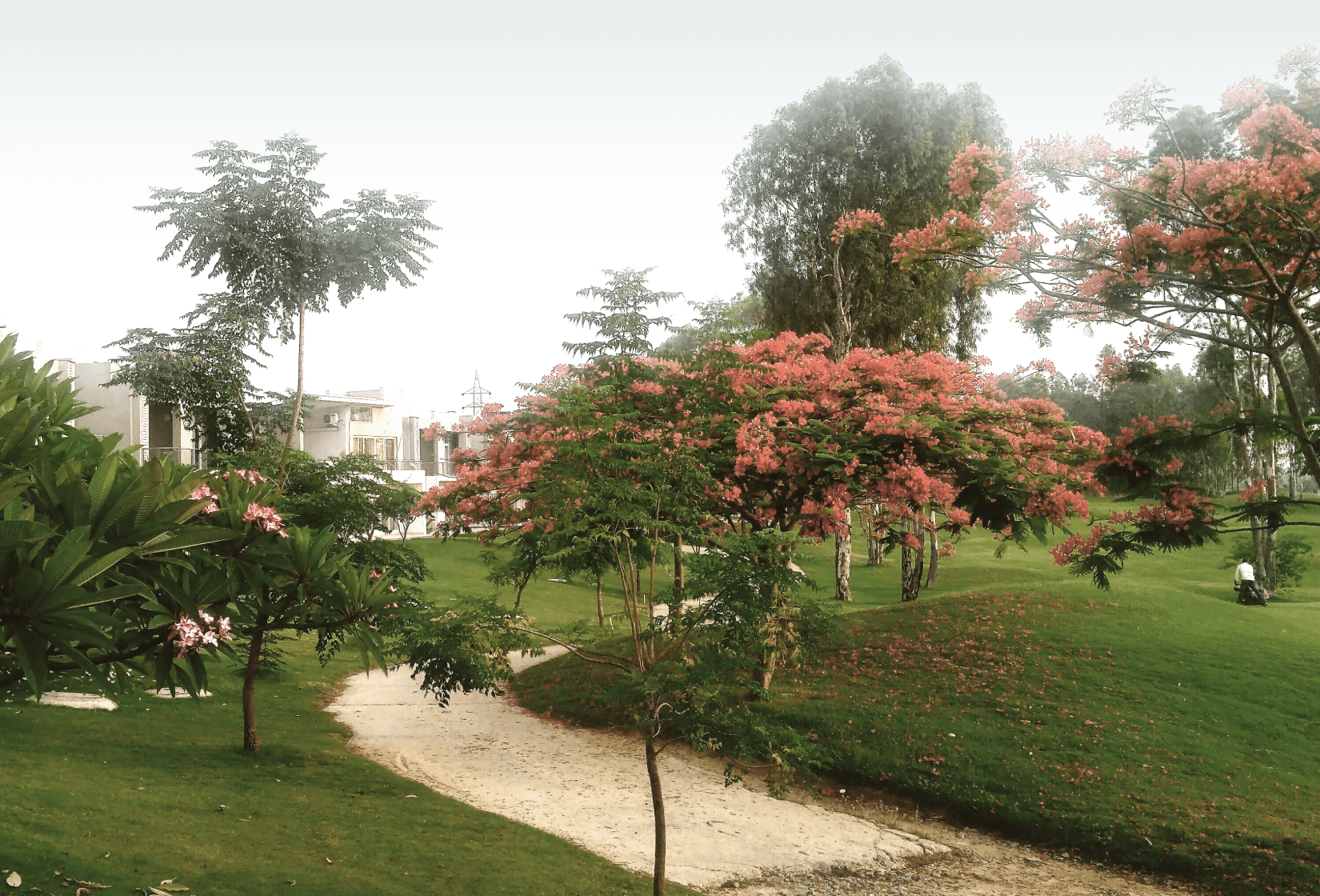 Sustainability your way