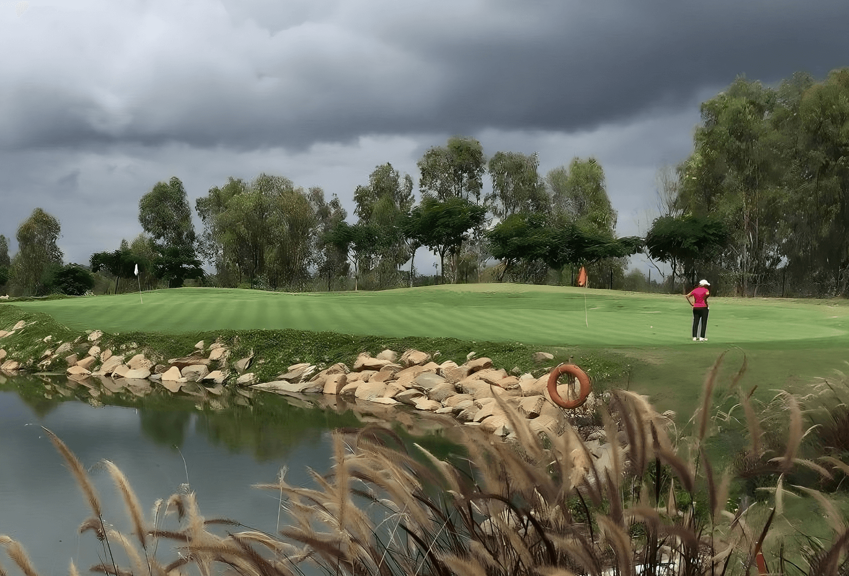 The grass has never been greener at Zion Hills